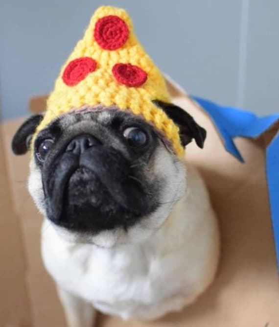 pug hats for dogs