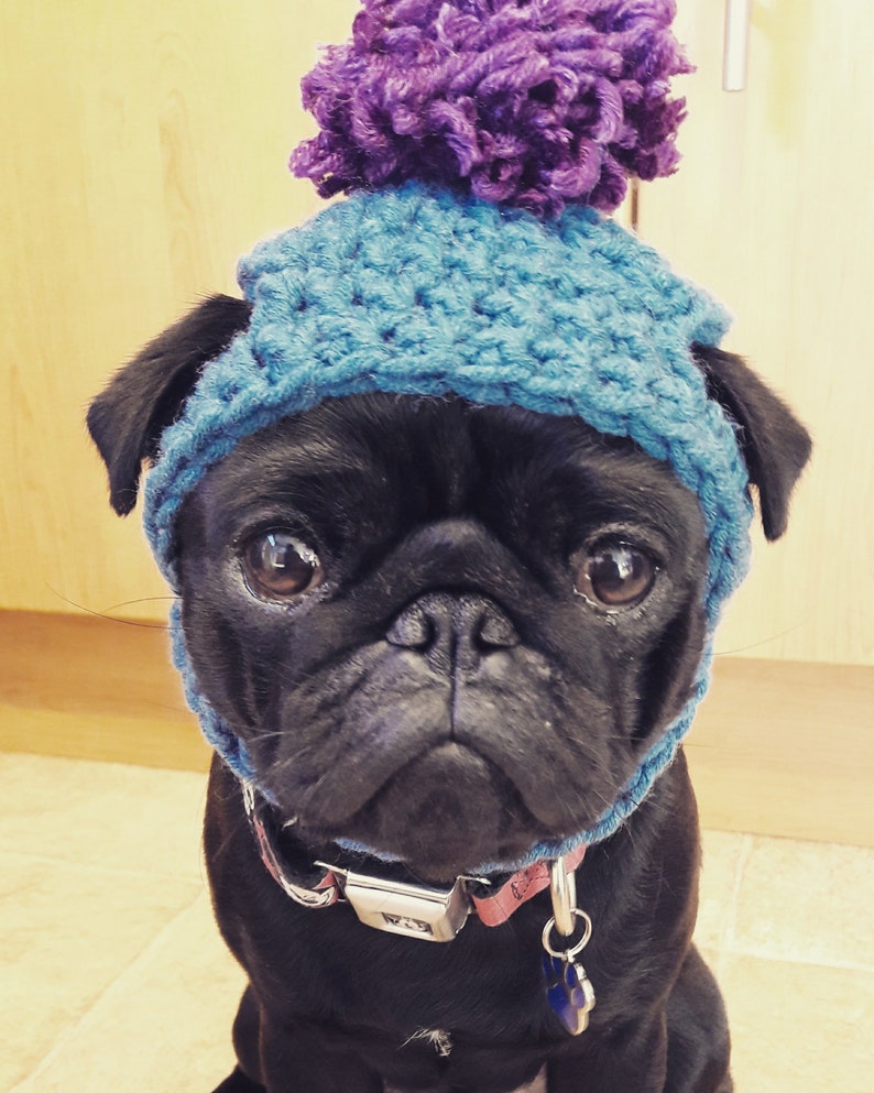 Crochet PomPom dog Hat; Crochet hat; pompom pug hat; hats for dogs; hats for pugs; crochet hat; pug hat; winter hat; crochet hat;dog fashion