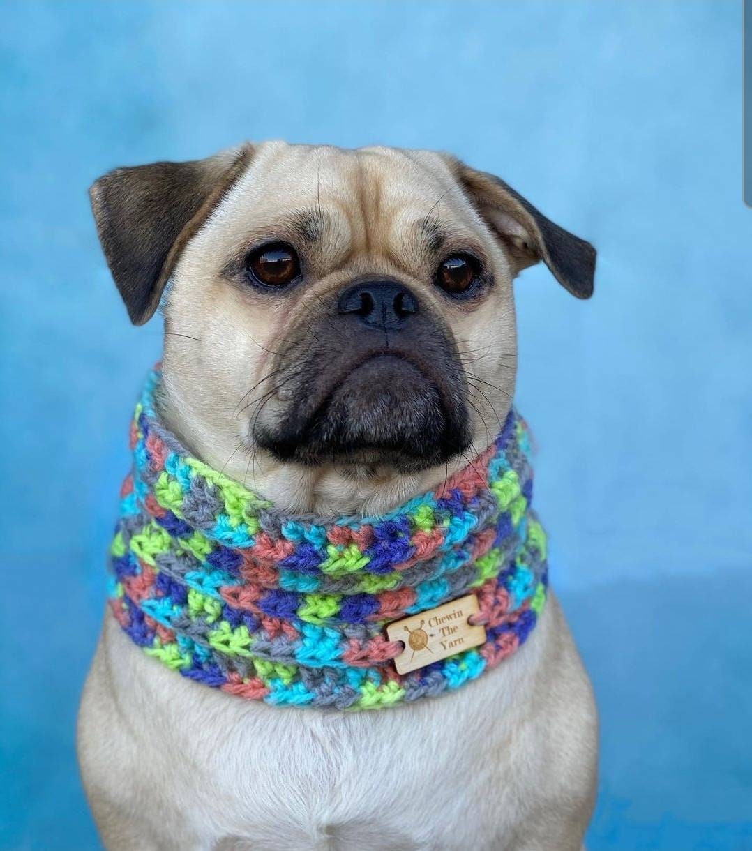 Hund snood Hundeschal Snood für Hunde Häkeln Snood für Etsy