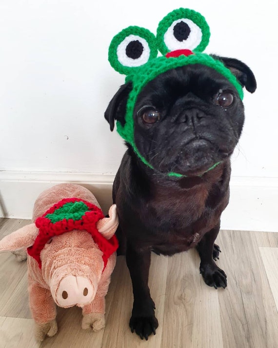 Crochet Frog Dog Hat Frog Pug Hat Hats 