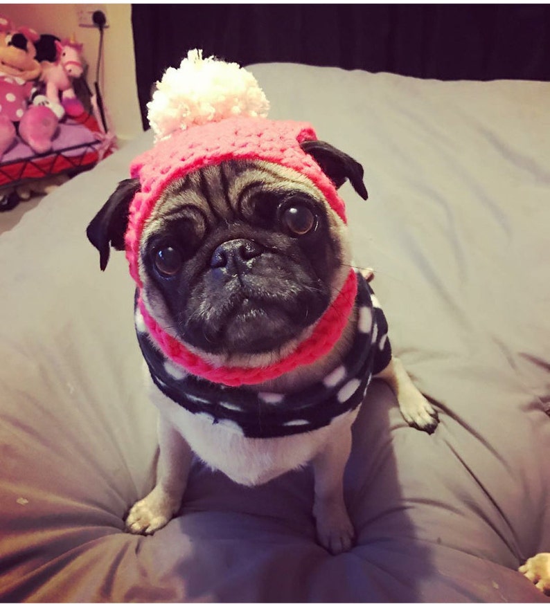 Crochet PomPom dog Hat; Crochet hat; pompom pug hat; hats for dogs; hats for pugs; crochet hat; pug hat; winter hat; crochet hat;dog fashion
