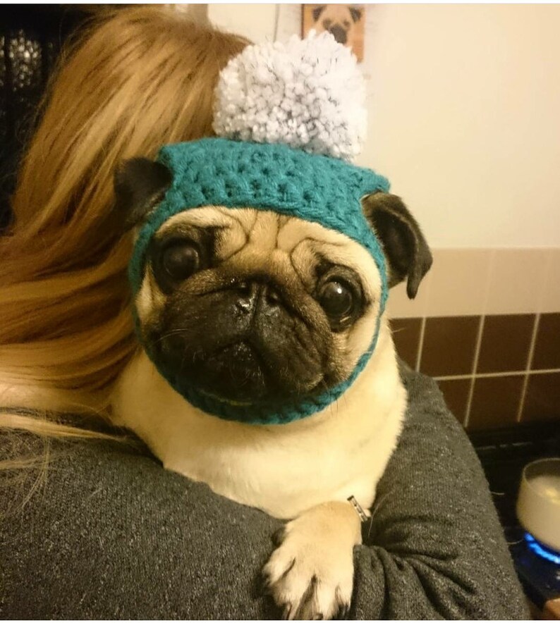 Crochet PomPom dog Hat; Crochet hat; pompom pug hat; hats for dogs; hats for pugs; crochet hat; pug hat; winter hat; crochet hat;dog fashion
