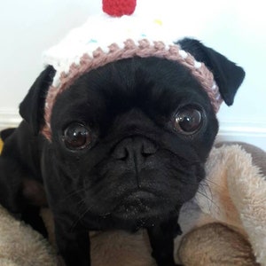 Crochet cupcake dog hat cupcake hat hats for dogs hats for pugs crochet hat pug hat winter hat crochet hat cupcake hat dog fashion imagem 4