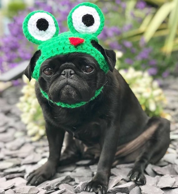 Crochet frog dog hat frog pug hat hats 