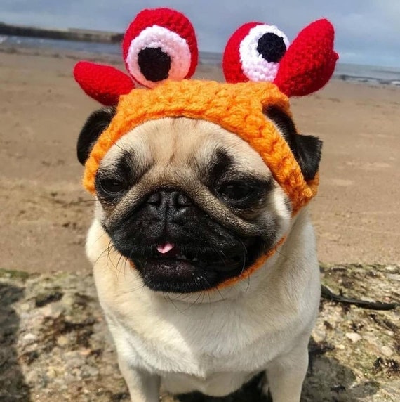 pugs winter hats