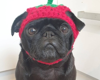 Crochet strawberry dog hat; strawberry pug hat; hats for dogs; hats for pugs; crochet hat; pug hat; winter hat; crochet hat; strawberry hat