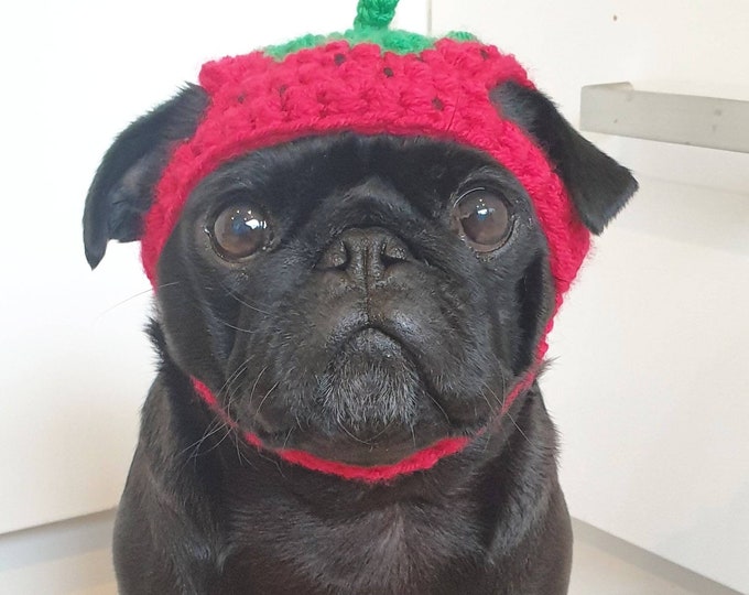 Crochet Strawberry Dog Hat Strawberry Pug Hat Hats for Dogs Hats for