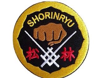 Patch Taekwondo Diametro 10 Cm - Toppa Ricamata Per Arti Marziali Su Dobok, Giacca O Zaino - Scegli Il Colore!