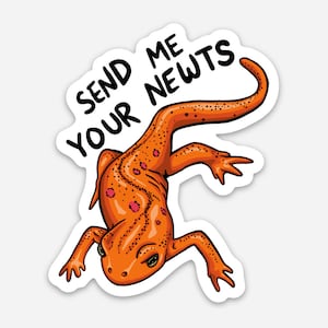 Send Me Your Newts Weatherproof Sticker, Herping, Salamander, Amphibian, Great for Vehicles