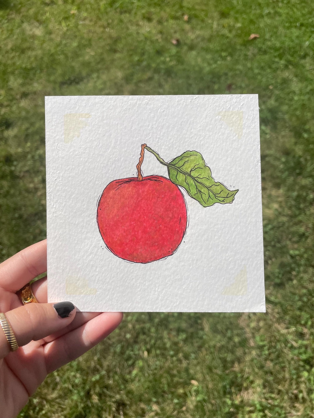 Original Fall Fruit Watercolor Painting, Watercolor Art, Watercolor ...