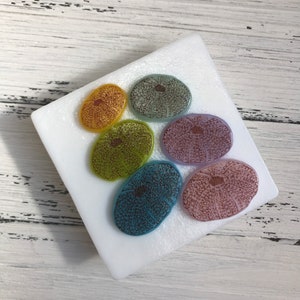 Sea Urchin Shells of Pink, Purple, Blue, and Green Glass, Hand-crafted Night Light on White Glass