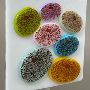 Sea Urchin Shells of Pink, Purple, Blue, Yellow, and Green Glass, Hand-crafted Night Light on White Glass