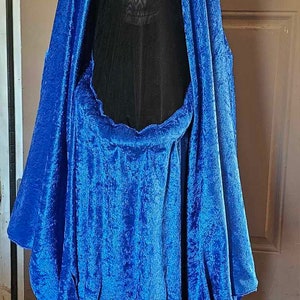 May include: A blue velvet costume with large googly eyes and pink pipe cleaner antennas. The costume has a large opening for the head and a long, flowing skirt.