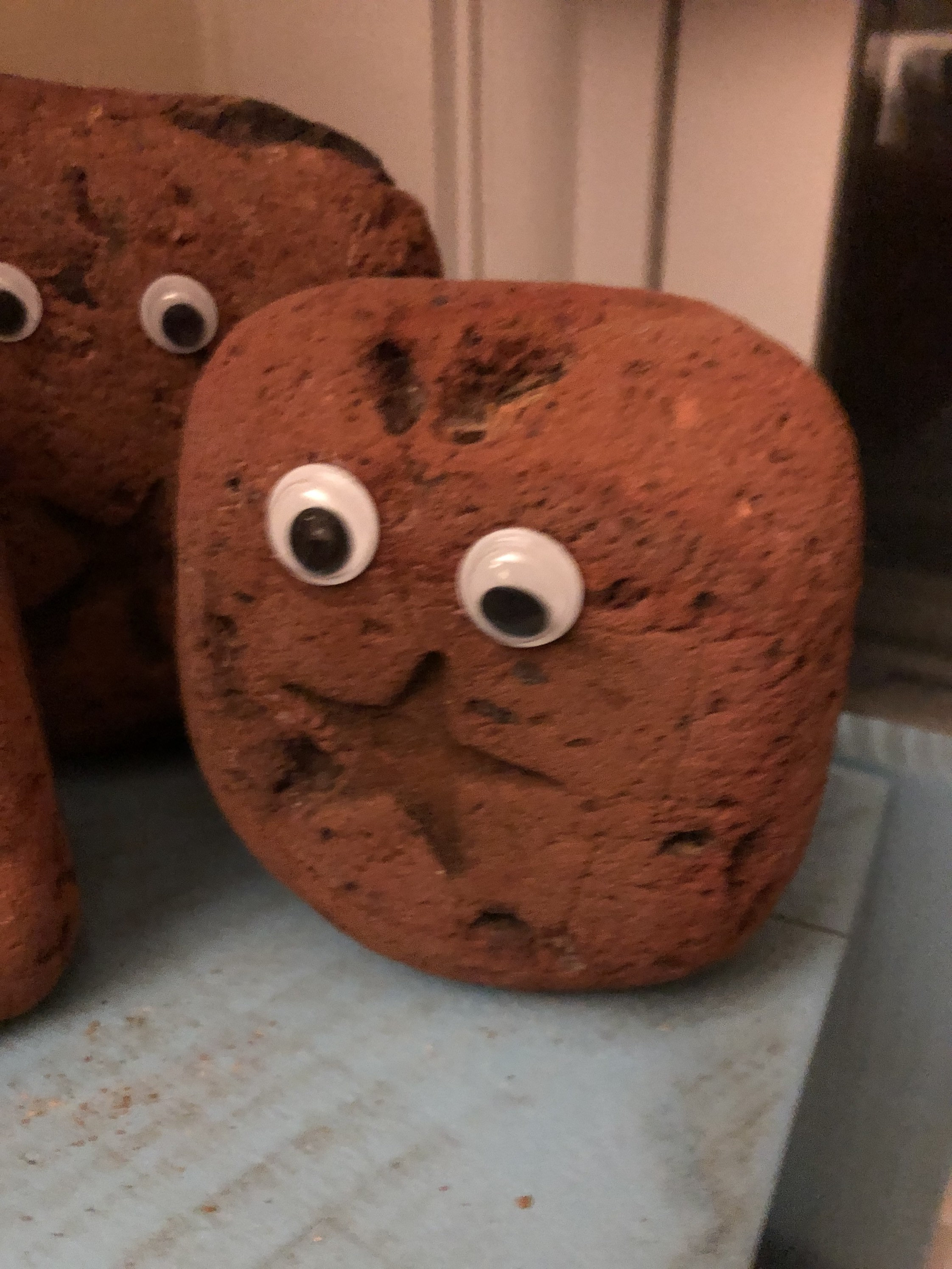 Star Belly Brick Babies 100 años de edad Star Bricks Seabrick Etsy España