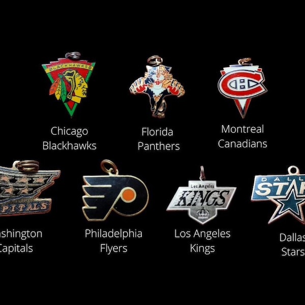 NHL Pendants - Stars, Panthers, Flyers, Devils, Penguins, Capitals, Blackhawks, Ducks, Kings, Blues, Canadians, Maple Leafs