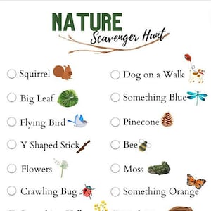 Nature Scavenger Hunt, Backyard, Outdoor, Hiking, Learning, Kids, Toddlers, Birthday Parties, Party, Digital Download Printable PDF