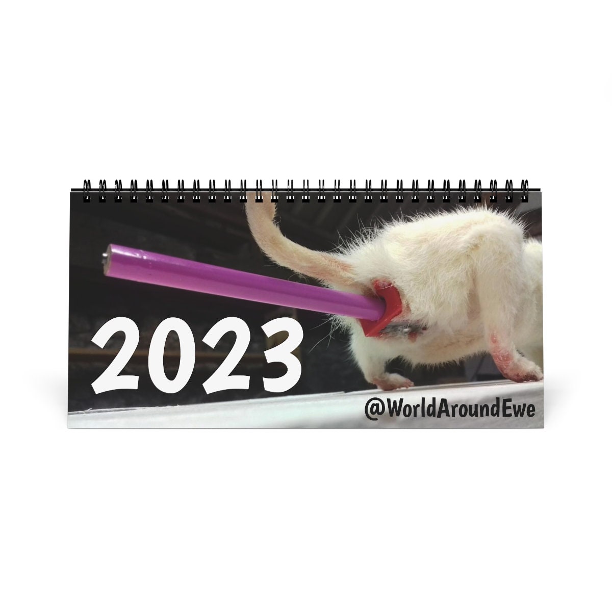 Taxidermy calendar Etsy Nederland