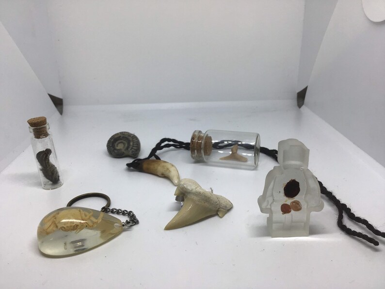 Oddities Stater Kit with REAL mouse organs