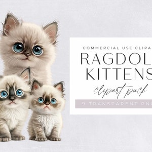 Pack de clipart chatons ragdoll, clipart pour usage commercial, PNG transparents, clipart chambre d'enfant, mignon, adorable chat ragdoll aquarelle