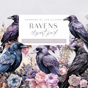 Raaf clipart, aquarel zwarte vogel met bloemen clipart, voor commercieel gebruik, kraai, gotische clipart, steampunk kraai, transparante png-bestanden,