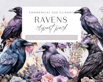 Raaf clipart, aquarel zwarte vogel met bloemen clipart, voor commercieel gebruik, kraai, gotische clipart, steampunk kraai, transparante png-bestanden,
