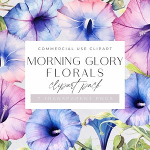 Watercolor Morning Glory Flower Clipart Pack, September Birth Month Flower, commercial use, Blue, Purple and Lilac Florals, Transparent PNGs