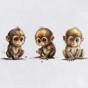 Watercolor Monkey Clipart, Cute Clipart for commercial use, Transparent PNGs, Jungle Animals Clip Art , Zoo Animals, Nursery Clipart image 4