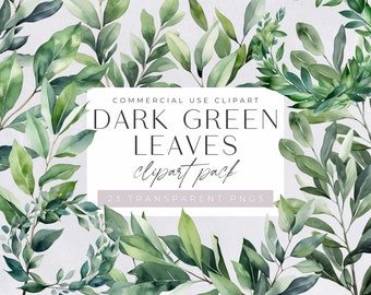 Groene bladeren clipartpakket, aquarel groen bruiloft, gebladerte, botanisch, bladverscheidenheid, eucalyptus, voor commercieel gebruik, transparante png