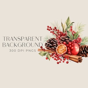 a picture of a christmas arrangement with pine cones, oranges, cinnamons,