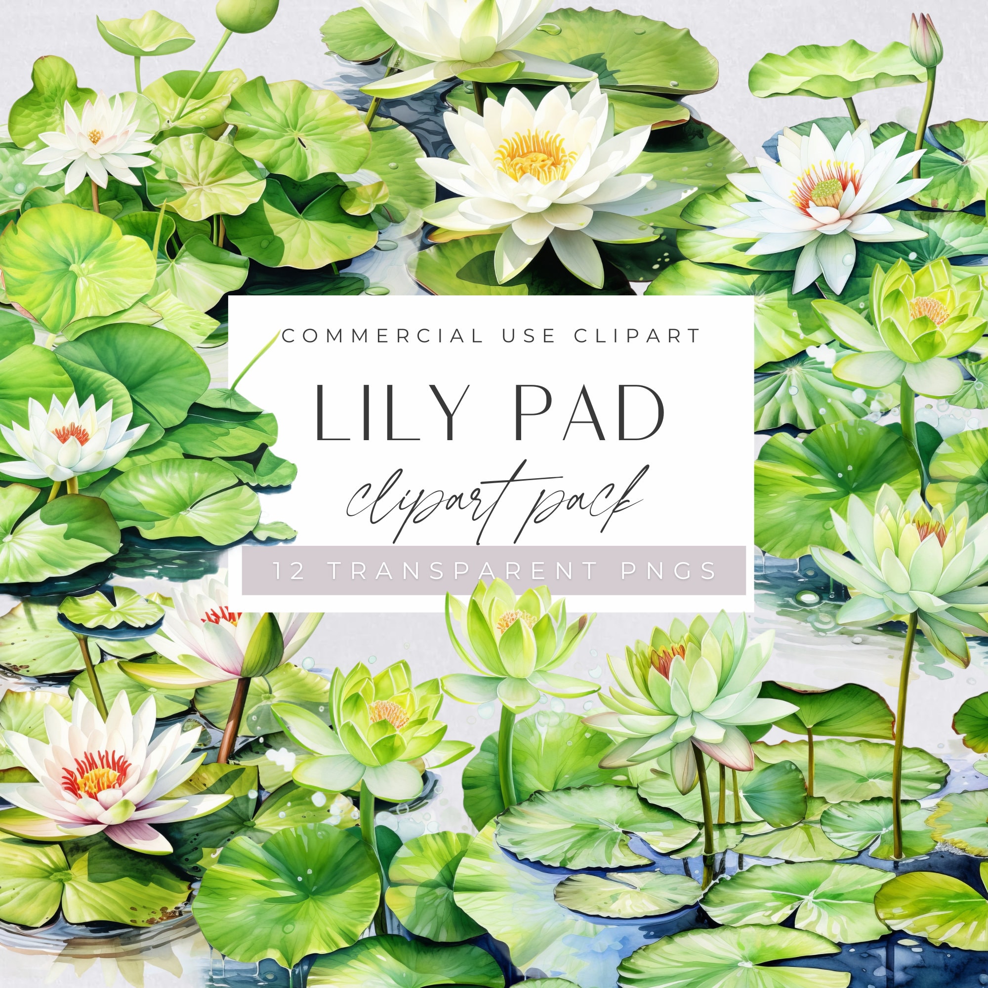 Lily Pad Clipart, Lilypad Clip Art, Pond Floral Graphics, Watercolor Water Lilies png, Lake Lotus Flower Illustrations, Commerical Use
