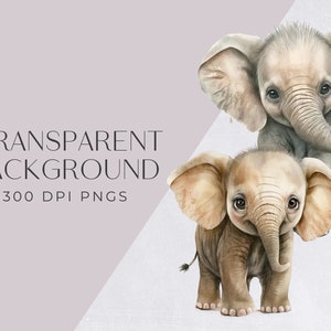 Baby Elefant Aquarell Clipart, niedlich ClipArt für kommerzielle Nutzung, transparente PNGs, afrikanische Safari Zoo Tier, Elefantenbabys, Kinderzimmer Bild 2