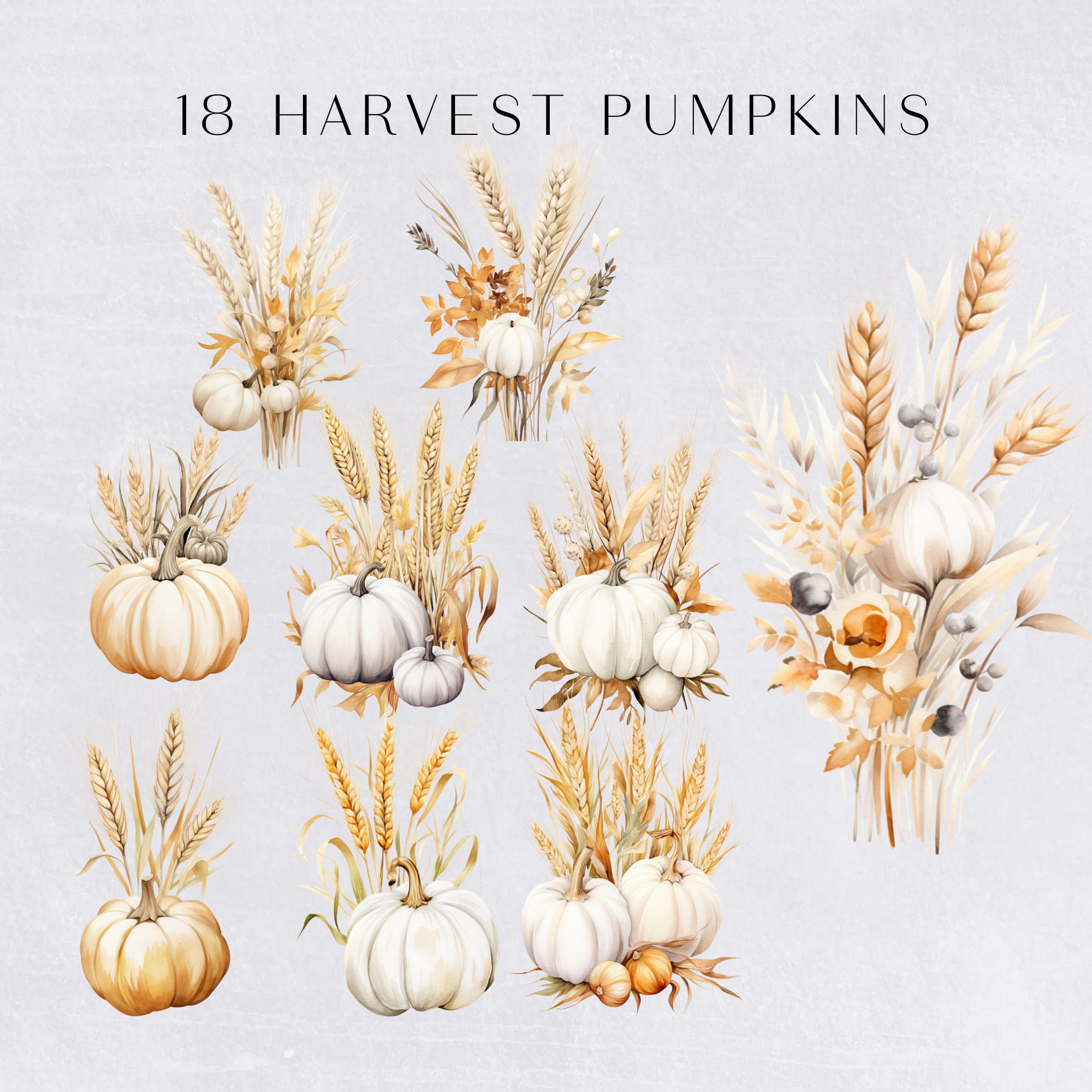 White Floral Pumpkin Clipart, Autumn Harvest Fall Thanksgiving Clipart ...