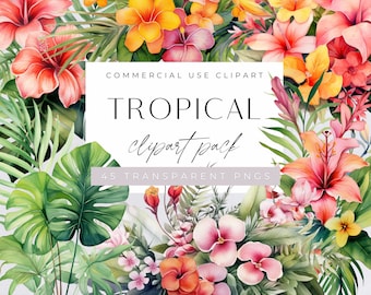 May include: Watercolor tropical clipart pack featuring vibrant hibiscus, orchids, and lush green foliage. The image includes the text "TROPICAL clipart pack" and "45 TRANSPARENT PNGS" for commercial use.