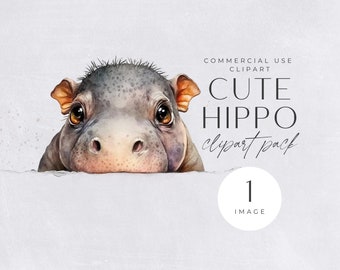 Clipart babynijlpaard | ENKELE AFBEELDING | commercieel gebruik, transparante png-bestanden, schattige aquarel safaridieren, digitale stickers, kinderkamer clipart