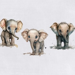 Baby Elefant Aquarell Clipart, niedlich ClipArt für kommerzielle Nutzung, transparente PNGs, afrikanische Safari Zoo Tier, Elefantenbabys, Kinderzimmer Bild 4