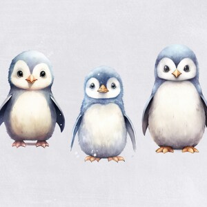 Penguin Clipart, Cute Watercolor Penguins for Nursery or crafting, for commercial use, Transparent PNGs, Winter and Christmas Clip art image 3