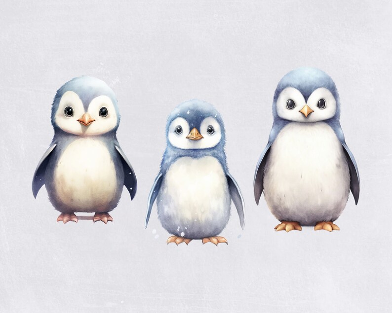 Penguin Clipart, Cute Watercolor Penguins for Nursery or crafting, for commercial use, Transparent PNGs, Winter and Christmas Clip art image 3