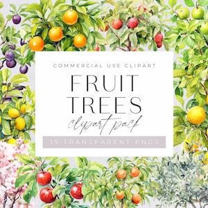 Clipart fruitbomen, aquarel sinaasappelen, citroenen, appels, pruimen, voor commercieel gebruik, transparante png's, citrus zomerfruit, instant