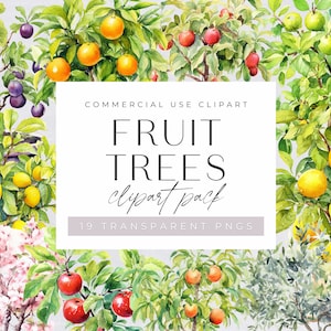 Large Fruit Tree Stencil Reusable Wall Stencils for DIY 