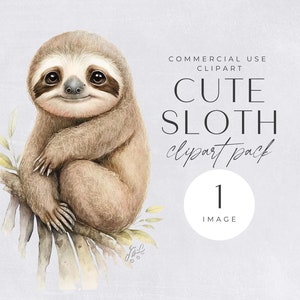 Clipart de preguiça | IMAGEM ÚNICA | Chá de bebê fofo Png, diário de lixo, uso comercial, artesanato em papel digital, Watecolor Png, decoração de berçário
