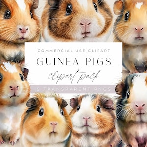 Guinea Pigs Clipart, Watercolor Animals, Clipart for commercial use, Transparent PNGs, Nursery, Cute Pet Clip Art, Digital Download