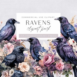 Raven Clipart, Watercolor Black Bird with flowers Clipart, for commercial use, Crow, Gothic Clipart, Steampunk Crow, Transparent PNGs,