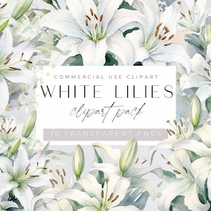 Weiße Lilien Clipart, Lilien Blumensträuße, Florale Grafiken, Aquarell Blumen, kommerzielle Nutzung, transparente PNGs, Hochzeit Clip Art, Junk Journal