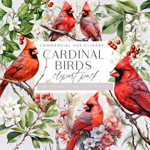 Aquarell Kardinal Clipart, bunte Aquarellvögel auf Zweiggrafiken, rote Vogelillustrationen, kommerzielle Nutzung, transparente PNGs,