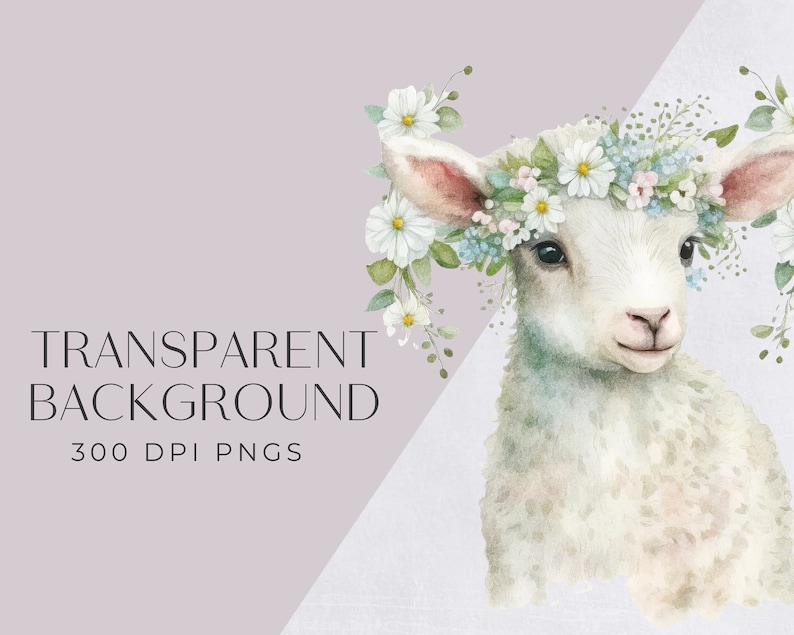 May include: A watercolor illustration of a white lamb wearing a flower crown. The lamb has a sweet expression and is surrounded by delicate white and blue flowers.