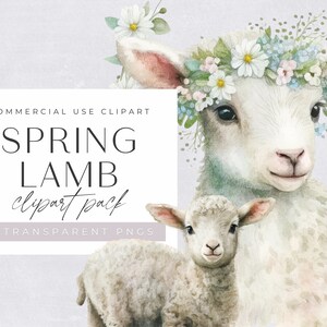 May include: A watercolor illustration of two white lambs. The larger lamb is wearing a flower crown and has a sweet expression. The smaller lamb is standing behind the larger lamb. The background is a light purple.