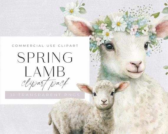 Watercolor Spring Lamb Clipart Pack, Clipart for commercial use, Transparent PNGs, Floral Lamb, Little Sheep with Flower Crown