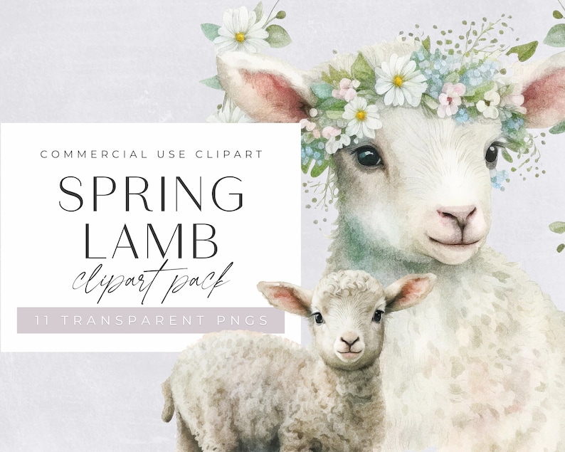 May include: A watercolor illustration of two white lambs. The larger lamb is wearing a flower crown and has a sweet expression. The smaller lamb is standing behind the larger lamb. The background is a light purple.