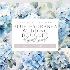 Pacote de clipart de buquê de casamento de hortênsia azul, clipart para uso comercial, PNGs transparentes, florais botânicos de casamento azul empoeirado