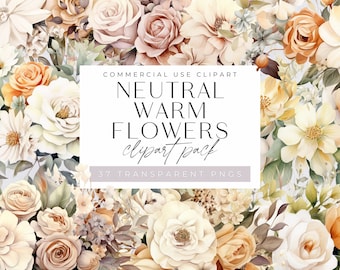 Clipart fleurs neutres chauds, clipart fleurs, faire-part de mariage, pêche et crème, crème, bouquet moderne poussiéreux, tendance, usage Commercial